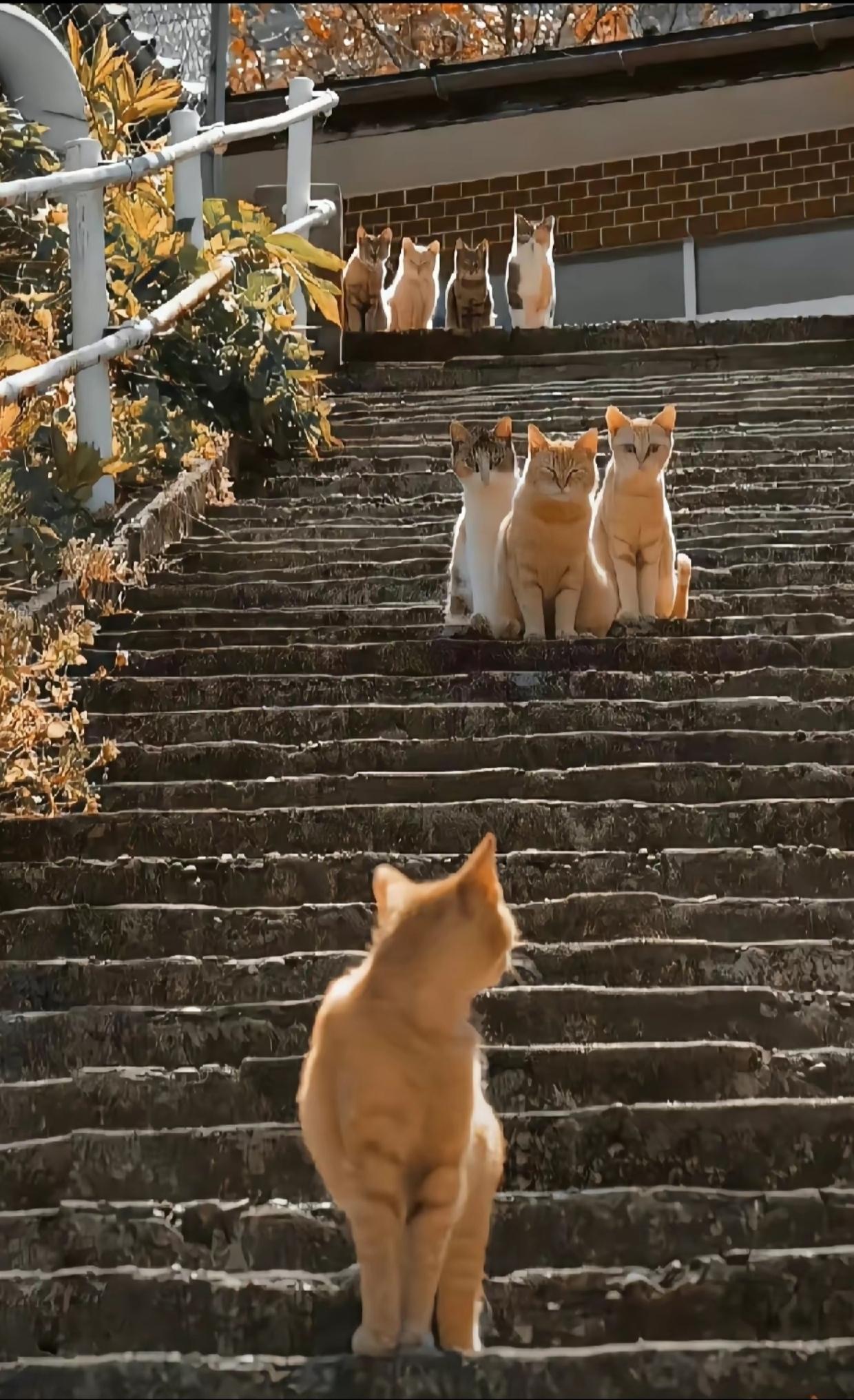 我的来时路